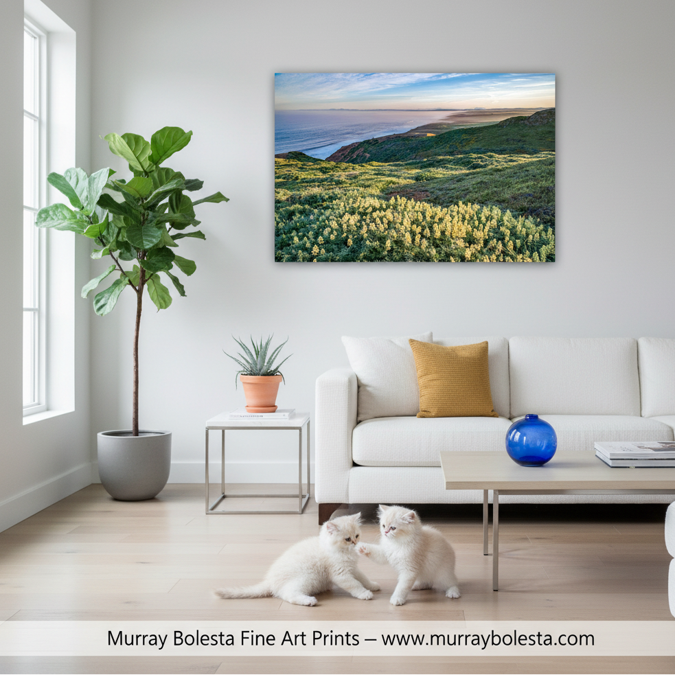 a scenic coastal landscape with a lush green hillside, a vibrant yellow flower field, and the vast expanse of the ocean in the background. Marin County Seascape Art | Point Reyes Wildflower Wall Print by Murray Bolesta!