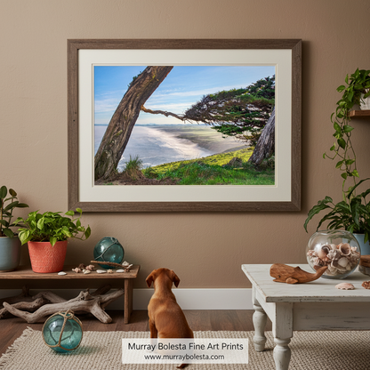 A large tree with a twisted trunk stands on a grassy hill overlooking a body of water, with a clear blue sky and distant mountains in the background. Point Reyes Monterey Cypress Tree Art | California Coastal Print by Murray Bolesta!