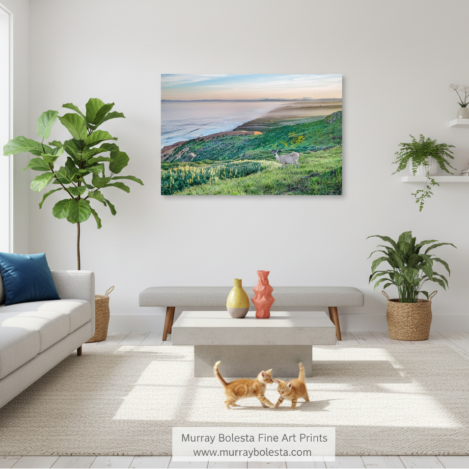 A deer stands on a grassy hill overlooking a body of water, with a hazy horizon in the background. Point Reyes Pacific Ocean Seascape Art | Marin County Print by Murray Bolesta!