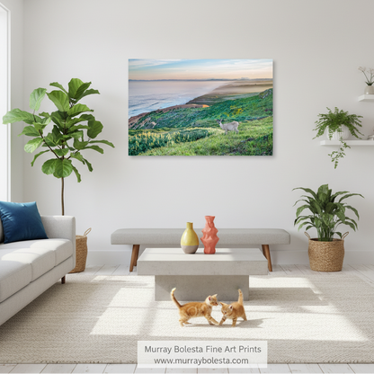 A deer stands on a grassy hill overlooking a body of water, with a hazy horizon in the background. Point Reyes Pacific Ocean Seascape Art | Marin County Print by Murray Bolesta!