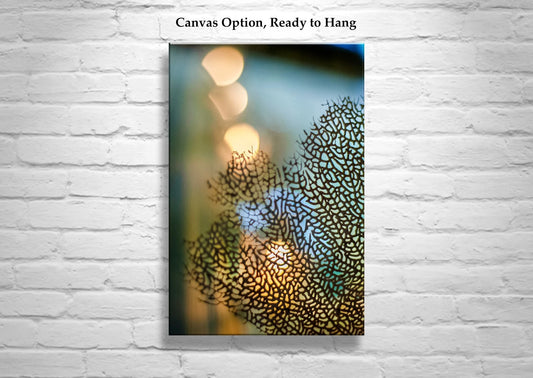 Sea Coral Wall Art as Bold, Dreamy Decor for Bath or Home in Warm Colors