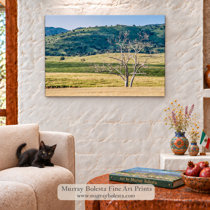 Canelo Hills southern Arizona ranch landscape art by Murray Bolesta at Mexico border