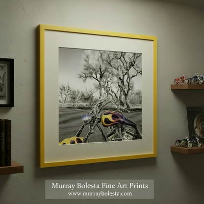 A black and white photograph of a motorcycle with colorful flames on the gas tank, set against a backdrop of bare trees and a fence. Motorcycle Art Print – Custom Show Bike in Black & White by Murray Bolesta