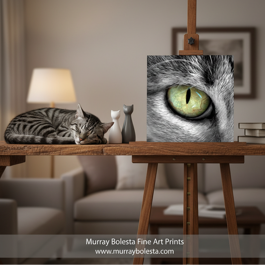 Cat eye by Murray Bolesta! A framed-style art print showing a close-up of a gray cat's eye with a green-yellow iris, displayed on a wooden easel in a softly lit living room. A real cat is curled up asleep on the table beside the easel, and a lamp and sofa are blurred in the background.