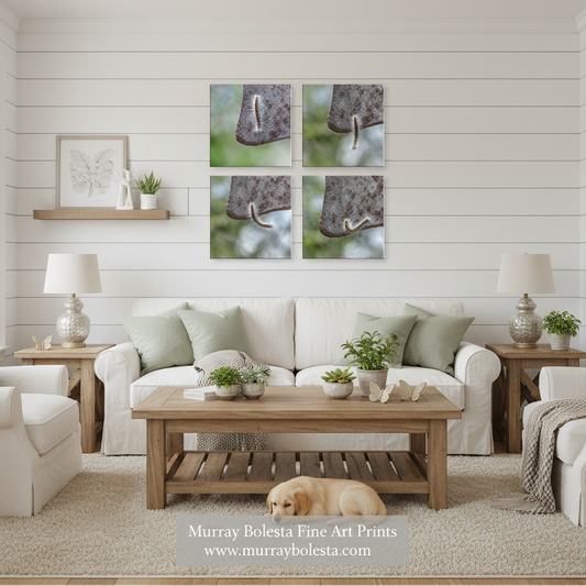 Caterpillar art by Murray Bolesta in a living room with a white sofa, wooden coffee table, lamps, and a small dog on the rug, featuring a four-panel wall art print above the couch. The print shows close-up photographic details of a textured brown object against a soft green blurred background.
