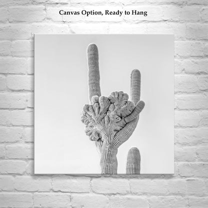 Crested Saguaro Cactus Black and White Art Print in Arizona Desert