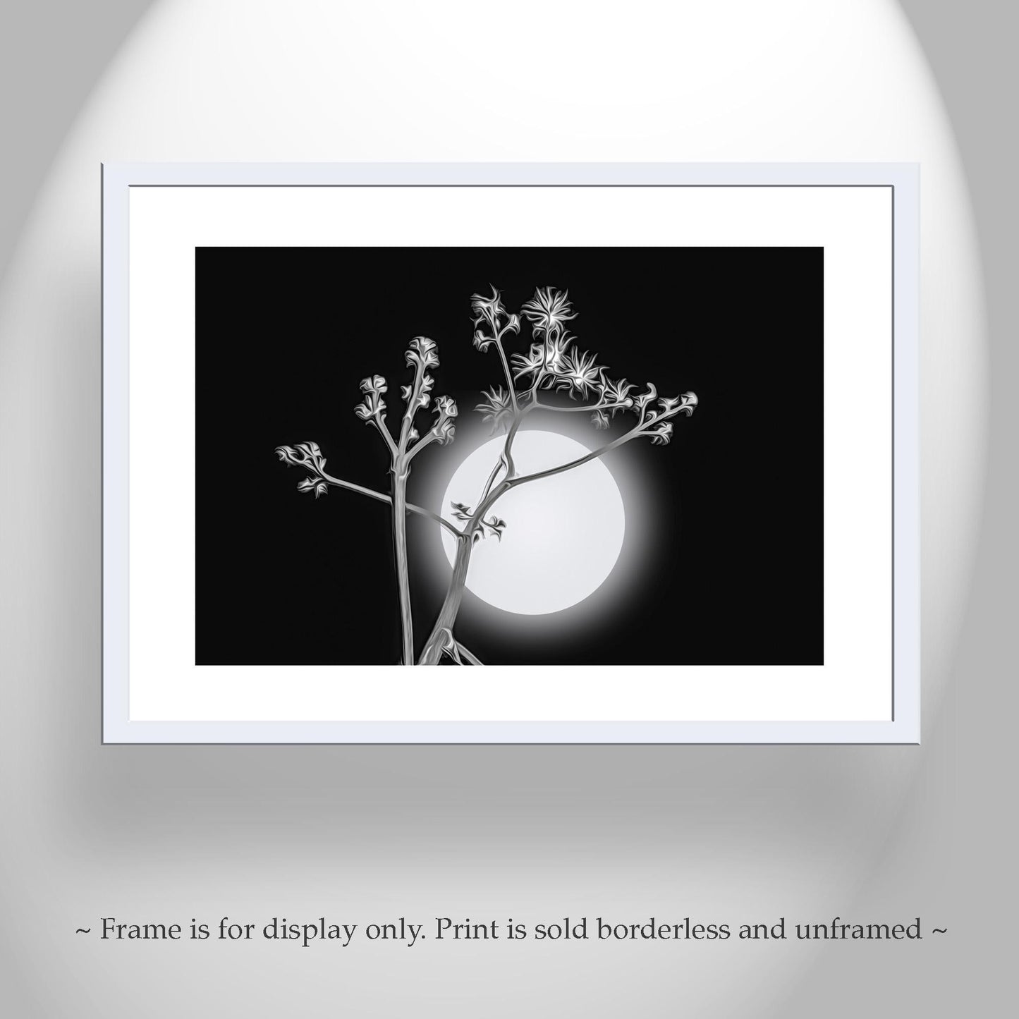 Surreal Desert Moon and Agave Art in Black and White Canvas Art Print