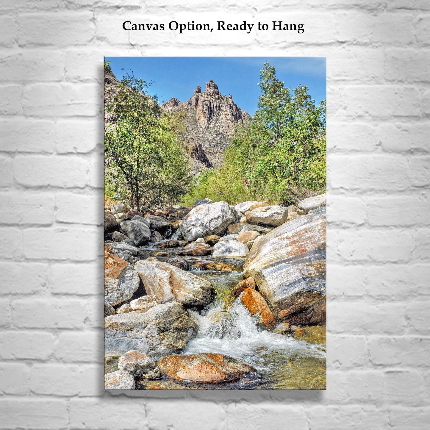 Sabino Canyon Tucson Arizona Landscape Photograph