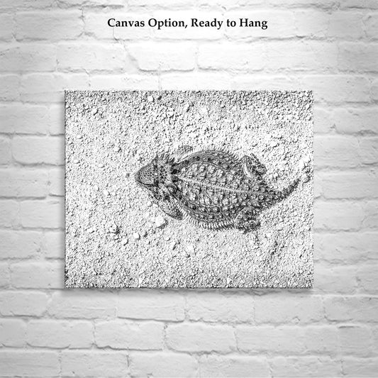 Desert Horned Lizard Wall Art | Arizona Wildlife Art Print