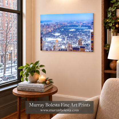 Central Park winter artwork by Murray Bolesta!