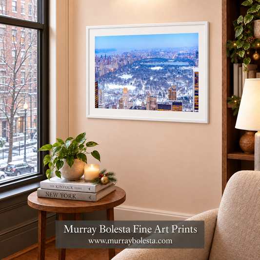 Central Park winter artwork by Murray Bolesta