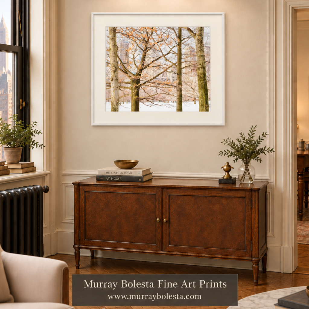Central Park winter art by Murray Bolesta