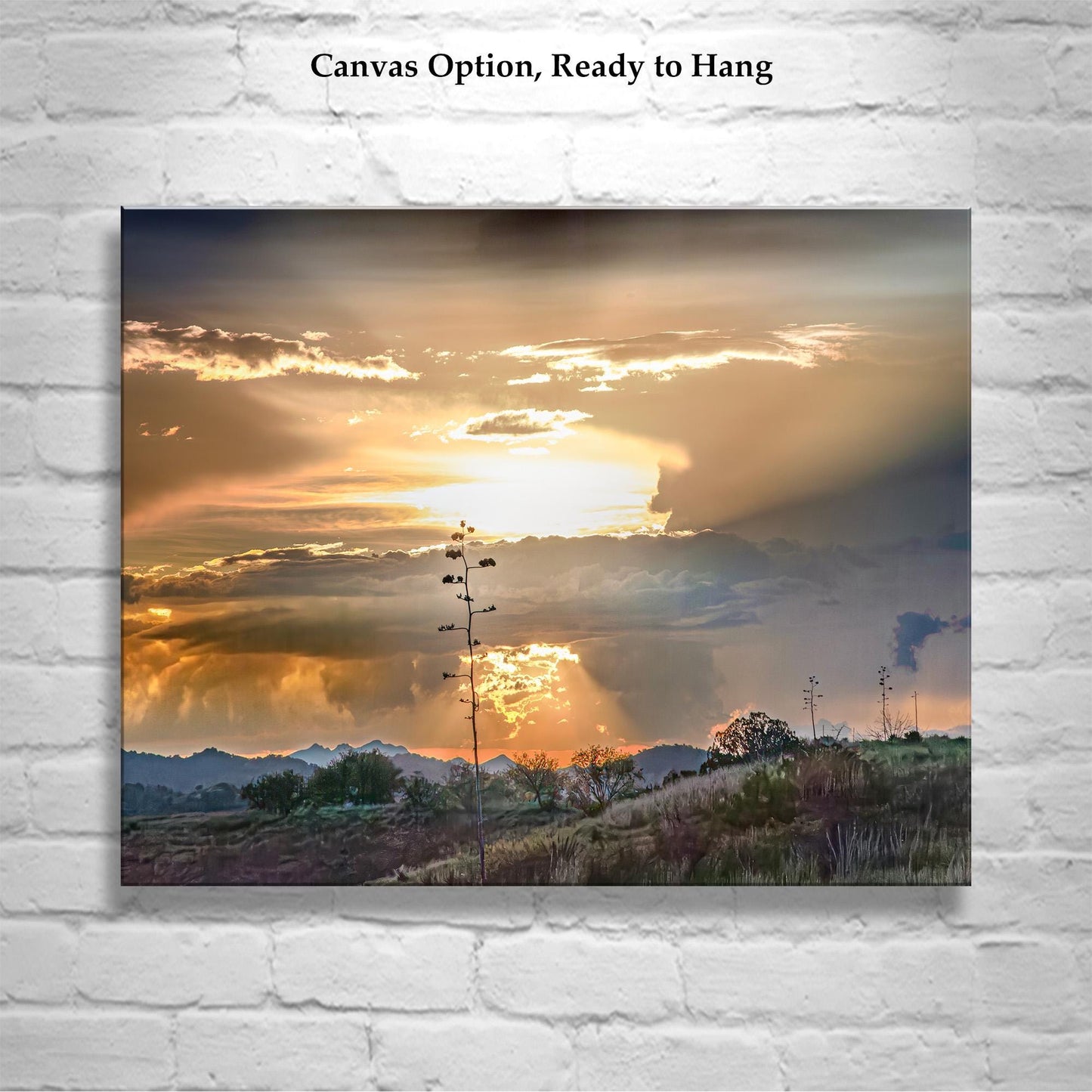 Desert Sunset Storm Cloud Wall Art Print with Tucson Arizona Monsoon