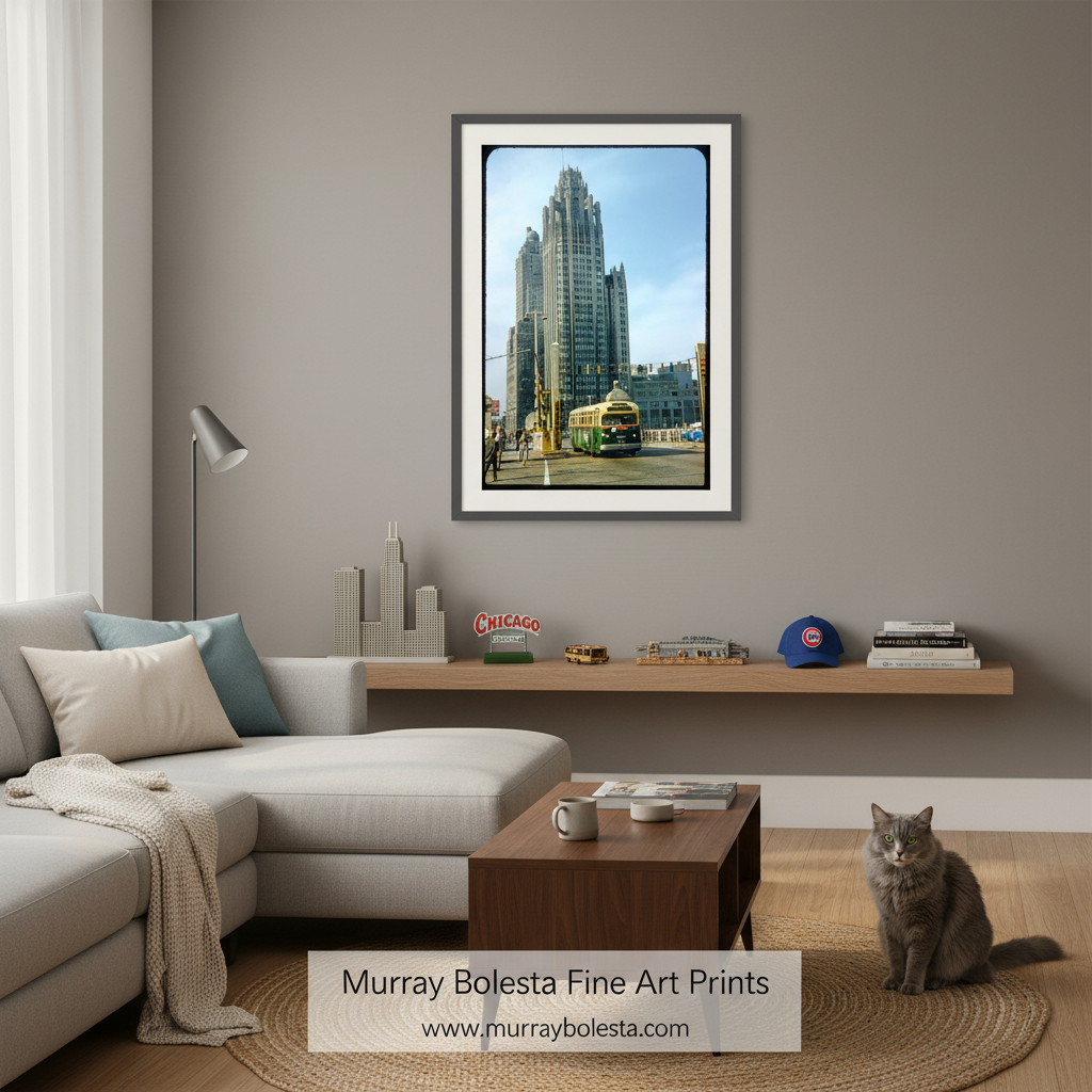 A framed art print of the Chicago skyline, featuring a tower and skyscrapers, displayed on a gray wall in a modern living room setting with a cat on a rug below.