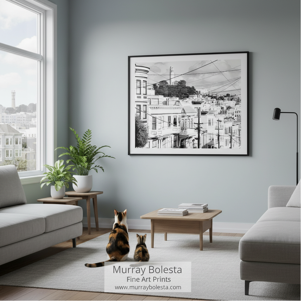 Coit Tower San Francisco! A framed black and white architectural cityscape print hangs on a light gray wall in a modern living room with gray sofas, plants, and two cats sitting on the floor. The text 'Murray Bolesta Fine Art Prints' appears at the bottom.