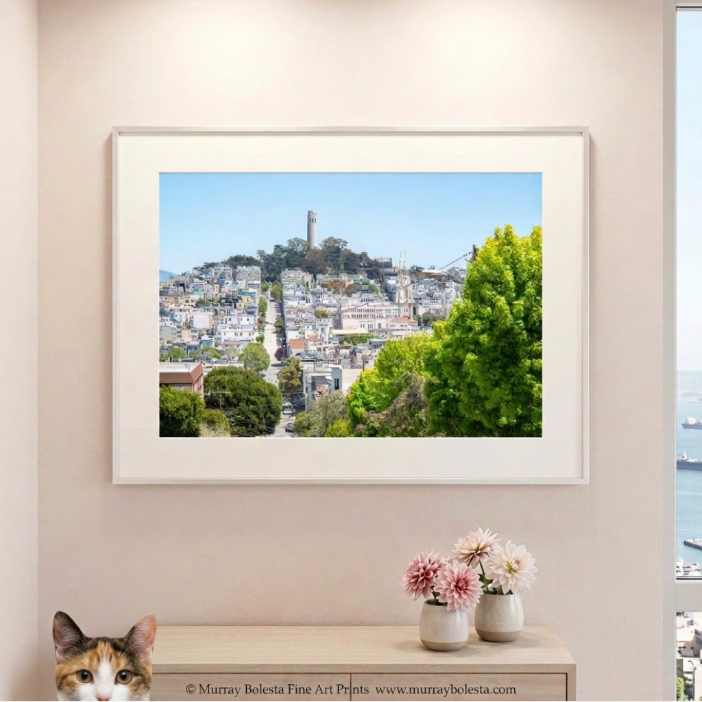 Coit Tower San Francisco cityscape art print by Murray Bolesta!