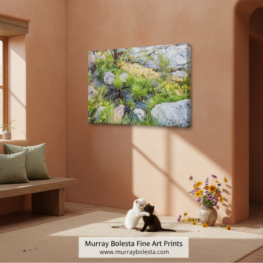 Yellow Columbine Wildflower Art Print | Arizona Desert Canyon by Murray Bolesta!
