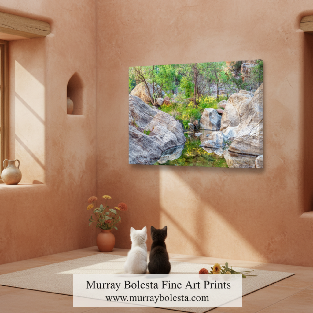 Desert Oasis Canyon Creek Wildflowers as Fine Art Nature Print by Murray Bolesta