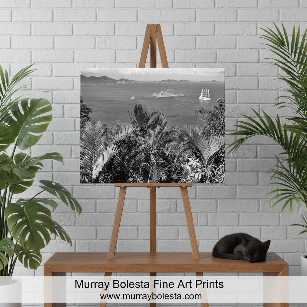 Costa Rica by Murray Bolesta! A black and white fine art print of a tropical harbor scene with palm trees and a sailboat, displayed on a wooden easel. The scene is styled with green houseplants on either side, a wooden table, and a sleeping black cat on the right.