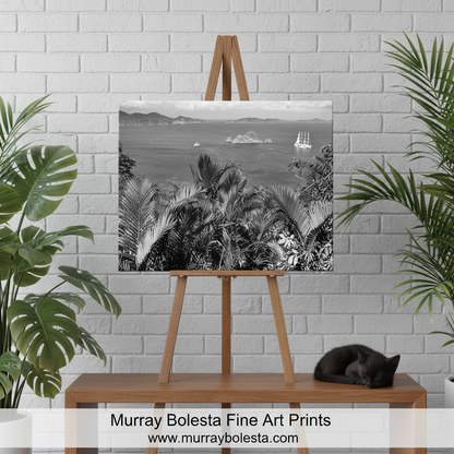 Costa Rica by Murray Bolesta! A black and white fine art print of a tropical harbor scene with palm trees and a sailboat, displayed on a wooden easel. The scene is styled with green houseplants on either side, a wooden table, and a sleeping black cat on the right.