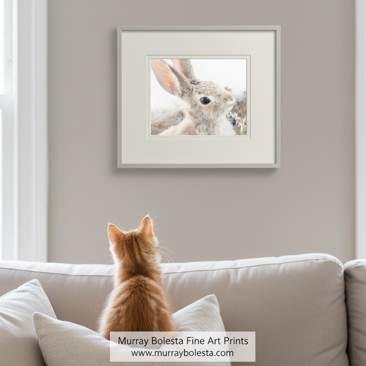 Wild Arizona Cottontail bunny. A framed art print of a close-up rabbit portrait hangs on a beige wall above a light-colored sofa, with an orange cat sitting on the couch facing the artwork. A watermark at the bottom reads 'Murray Bolesta Fine Art Print'