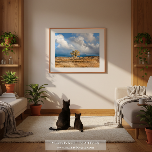 Arivaca Arizona Cienega by Murray Bolesta! A framed landscape art print hangs on a beige wall in a styled living room. The print shows a grassy field with a lone tree under a dramatic cloudy sky.