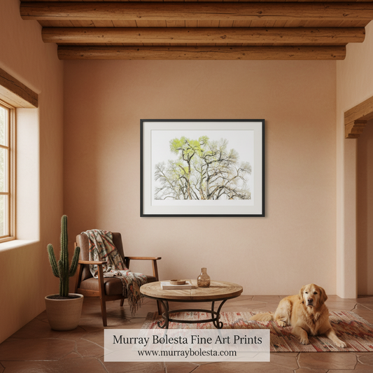 A framed art print of a tree with green leaves is displayed on a warm beige wall in a rustic room setting with a wooden chair, cactus, and a golden retriever dog lying on the floor. A watermark at the bottom reads 'Murray Bolesta Fine Art Prints'.