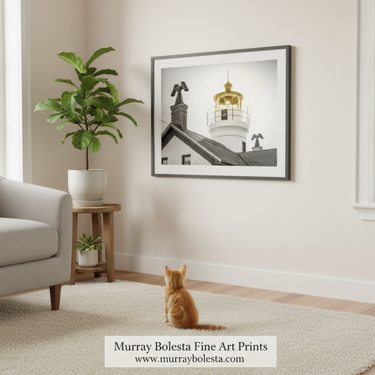 Crescent City California Lighthouse art by Murray Bolesta! A framed black and white art print of a lighthouse hanging on a beige wall in a styled living room. An orange tabby cat sits on a cream rug below the frame, and a potted fiddle-leaf fig and a small side table are to the left.
