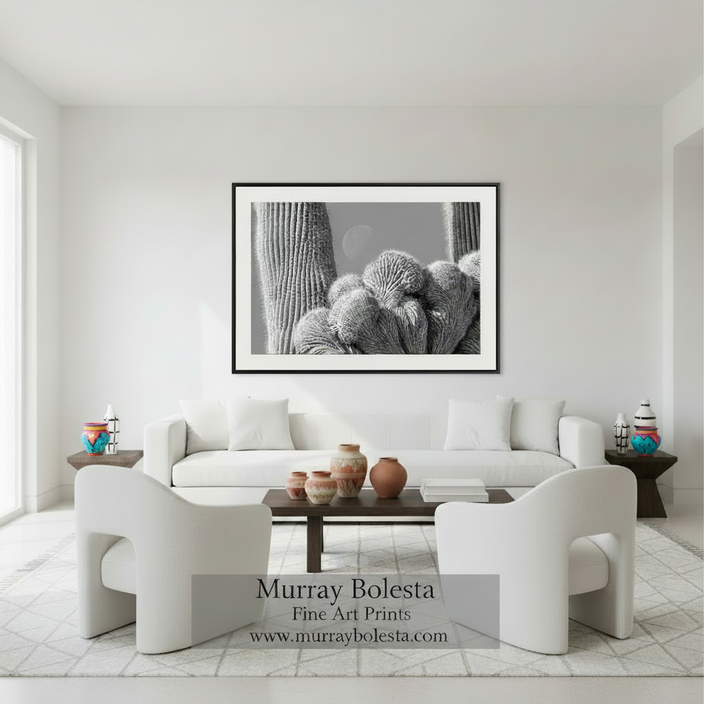 A close-up black and white photograph of a cactus plant with a full moon visible in the background. Crested Cactus & Moon | Saguaro National Park Tucson Wall Art by Murray Bolesta