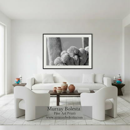 A close-up black and white photograph of a cactus plant with a full moon visible in the background. Crested Cactus & Moon | Saguaro National Park Tucson Wall Art by Murray Bolesta