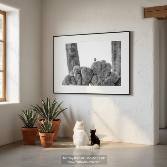 Crested Cactus at Tucson Arizona by Murray Bolesta! A black and white framed art print depicting a cluster of cacti is displayed on a textured white wall in a bright room, with two cats sitting on the floor below and potted plants to the left.