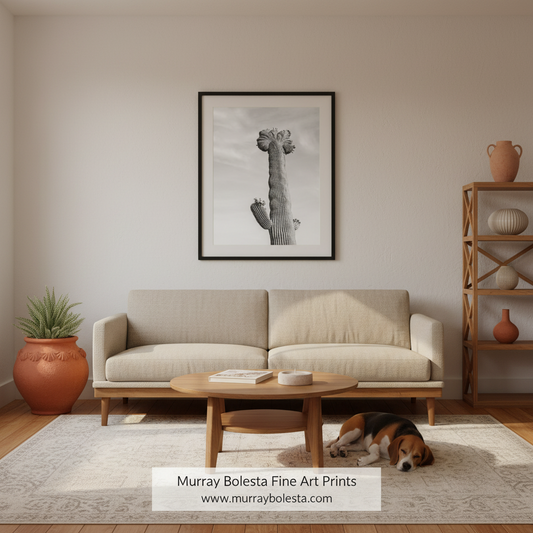 Crested Cactus Art Print in Black & White | Arizona Desert Saguaro