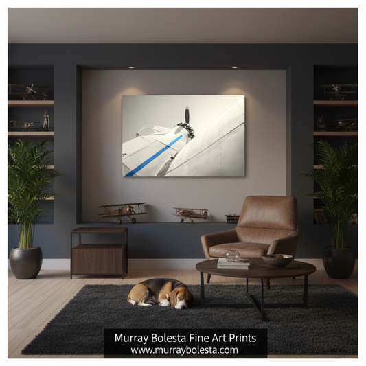 A framed wall art print showing a close-up of a white airplane propeller and wing with a blue stripe, displayed in a modern living room setting above a brown leather chair and coffee table. The room has dark gray walls, wooden shelving, potted plants, and a dog sleeping on a rug.
