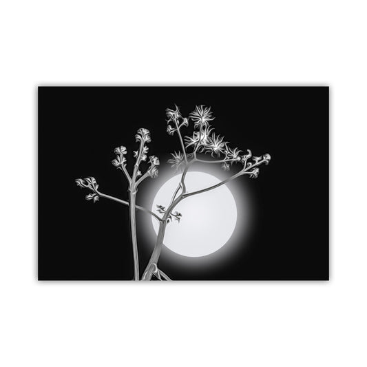 Surreal Desert Moon and Agave Art in Black and White Canvas Art Print