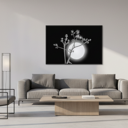 Surreal Desert Moon and Agave Art - Black and White Canvas Print