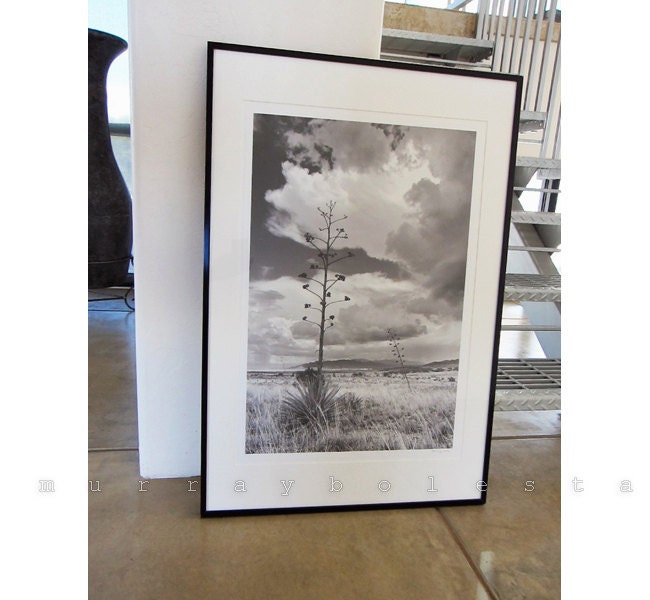 Southern Arizona Monsoon Landscape | Black and White Wall Art Print