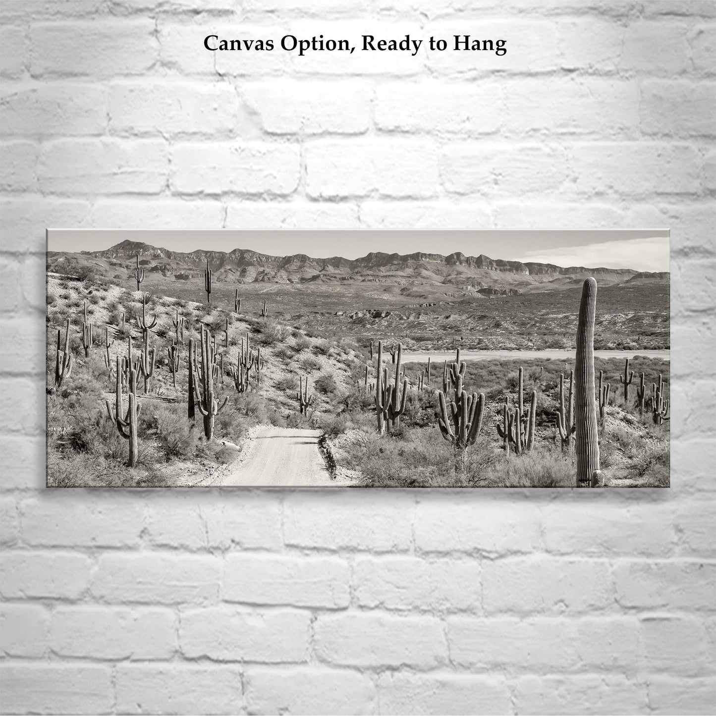 Redington Pass Desert Road with Saguaro – Tucson Art Photograph