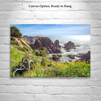 Mendocino Coast Art Print at Fort Bragg California