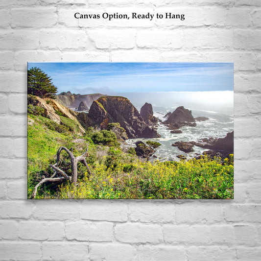 Mendocino Coast Art Print at Fort Bragg California