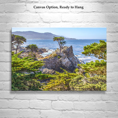 Lone Cypress Tree Carmel by the Sea Photograph at Pebble Beach California | Home Decor Gift for Her | Monterey Peninsula Wall Art