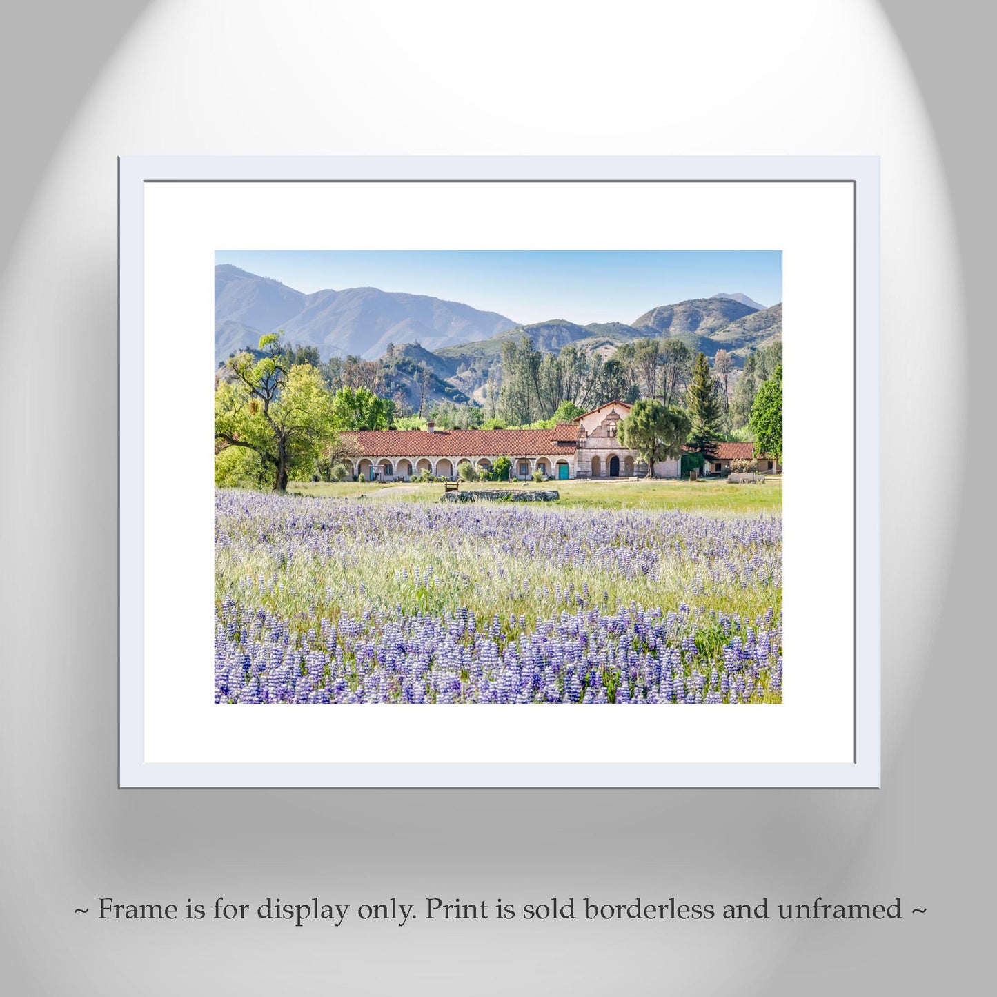Lompoc Art at Mission San Antonio de Padua | Spring California Wildflowers