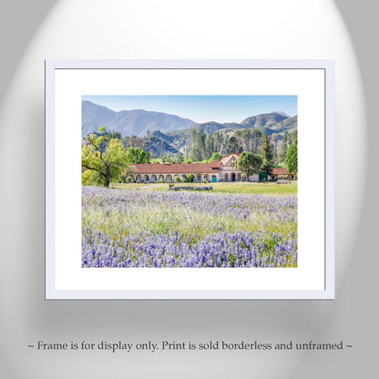 Lompoc Art at Mission San Antonio de Padua | Spring California Wildflowers