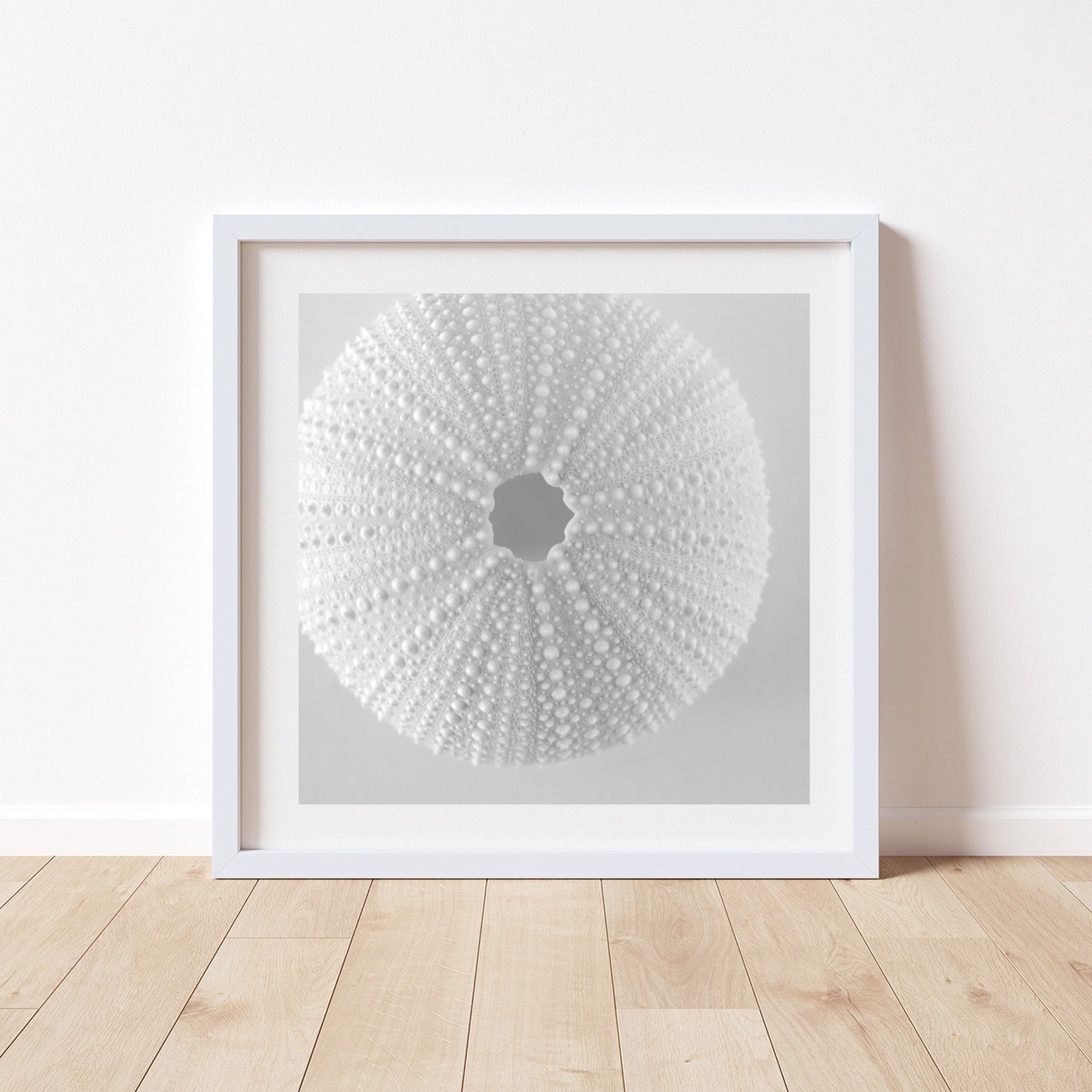Sea Urchin Wall Art in White on White For Bathroom or Home