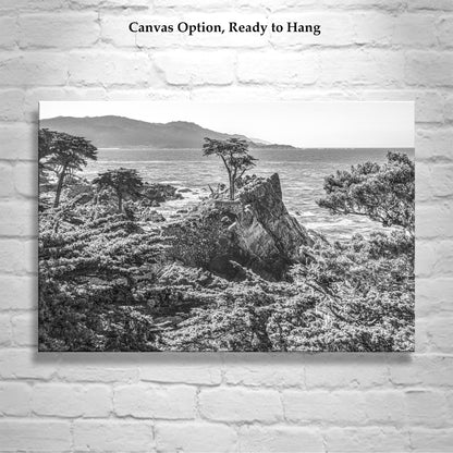 Lone Cypress Carmel by the Sea Art at Pebble Beach California