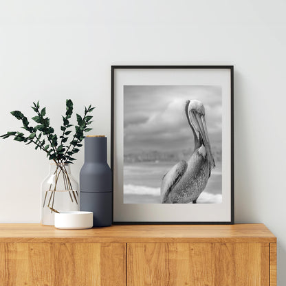 Pelican Art in Black and White | Sea Bird Photography at Oceanside Pier, San Diego California