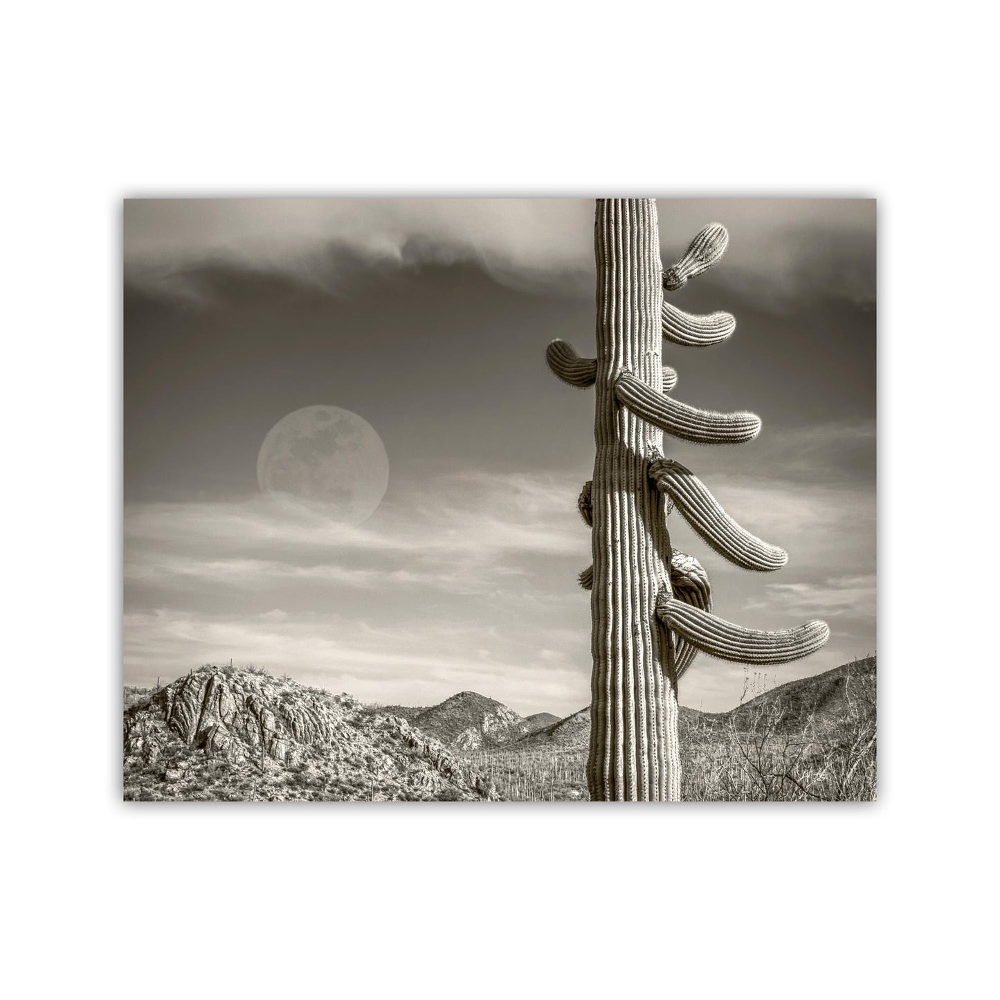 Cactus Moon Landscape Wall Decor with Southwestern USA Desert Saguaro | Tucson Arizona Art Gift