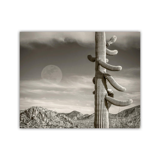 Cactus Moon Landscape Wall Decor | Southwestern USA Desert Saguaro