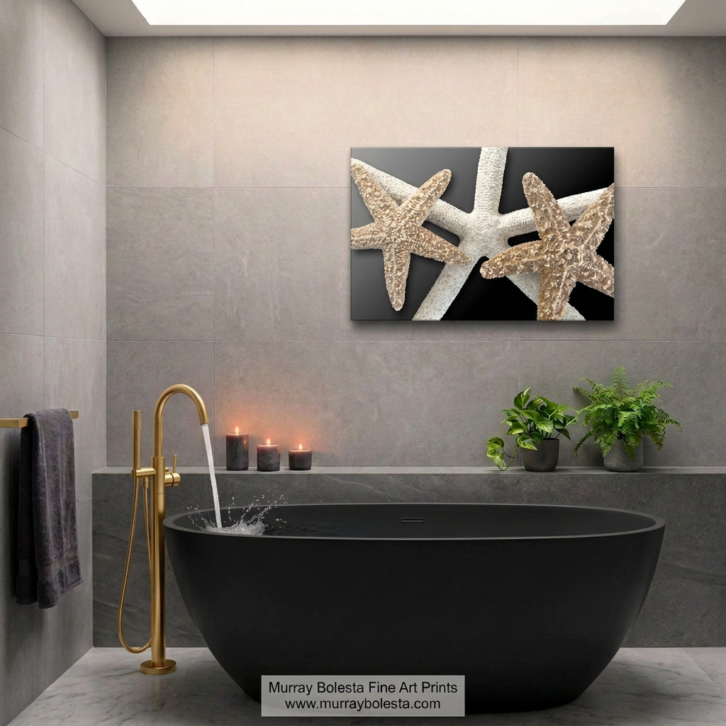 Bath decor with large seashell sea star art print by Murray Bolesta