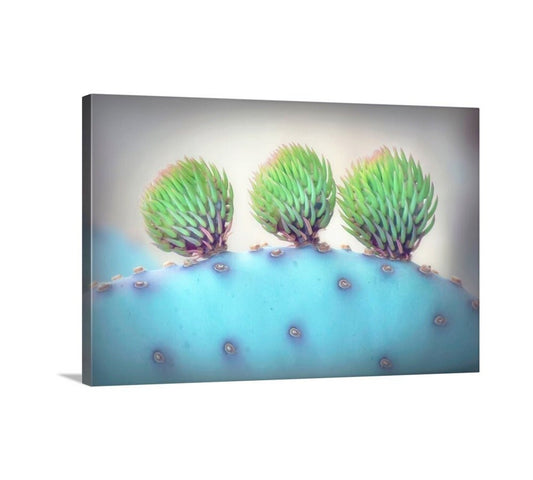 Purple Santa Rita Prickly Pear Cactus Art Print by Murray Bolesta