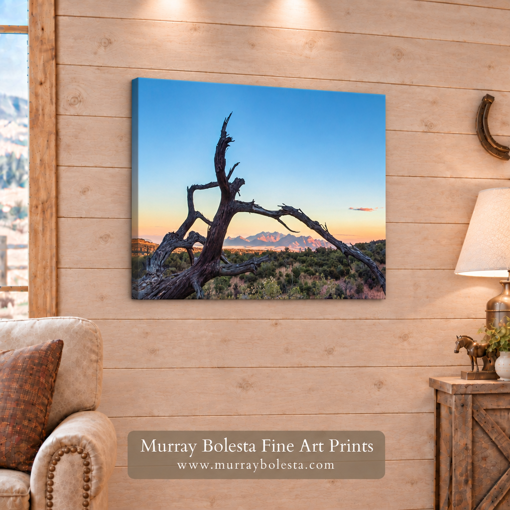 Deadwood Silhouette Canelo Hills Arizona by Murray Bolesta